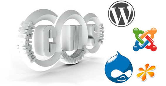content management system website development