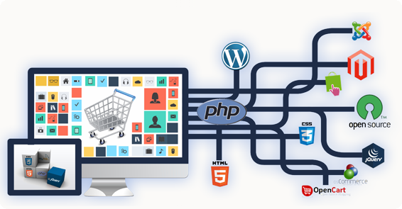 professional ecommerce website design