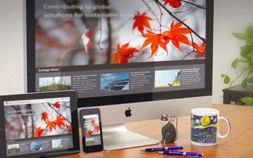 Affordable Web Design Company Near Me